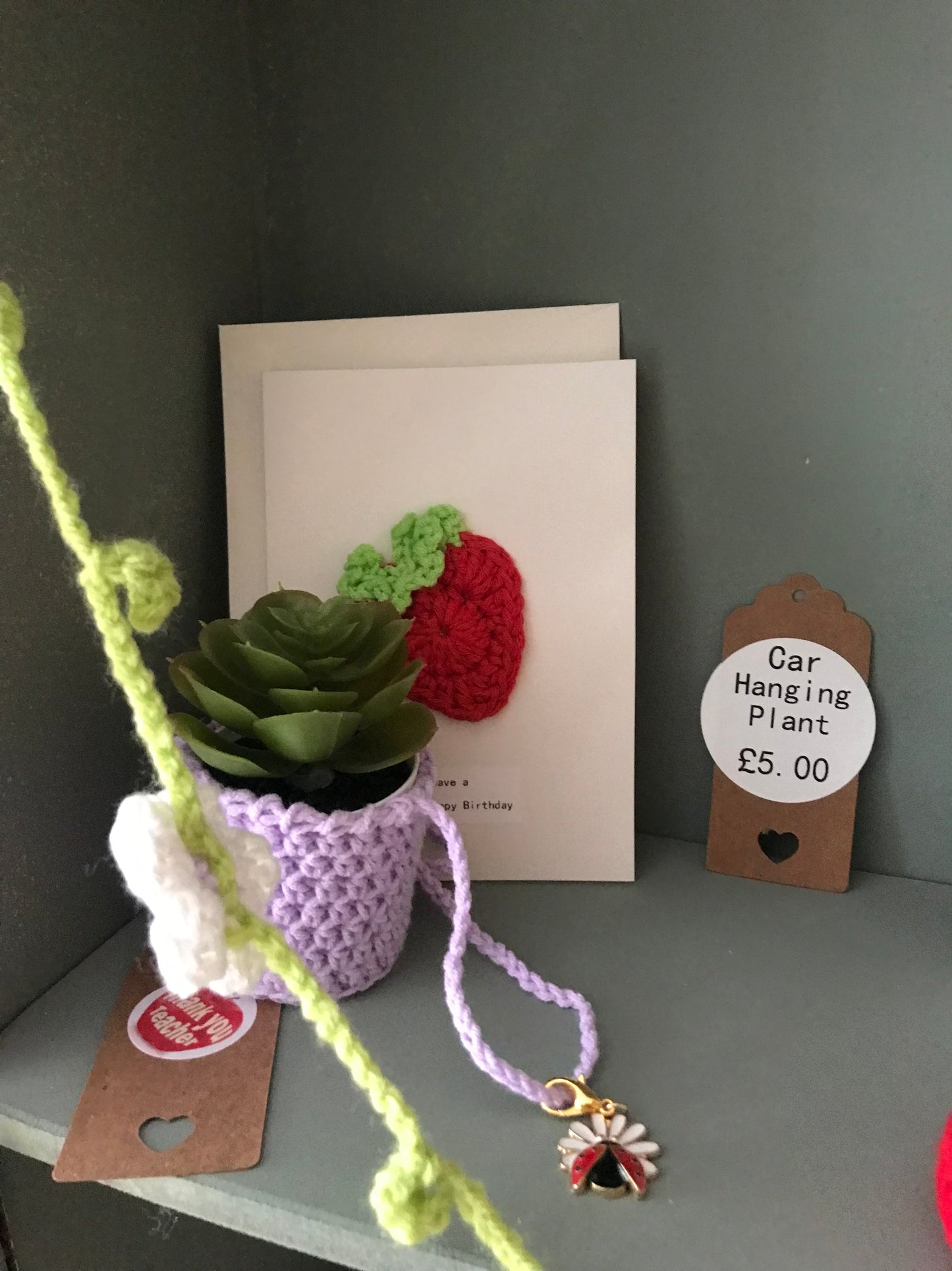 Hanging car plant (plastic)and crocheted hanger - teacher gift