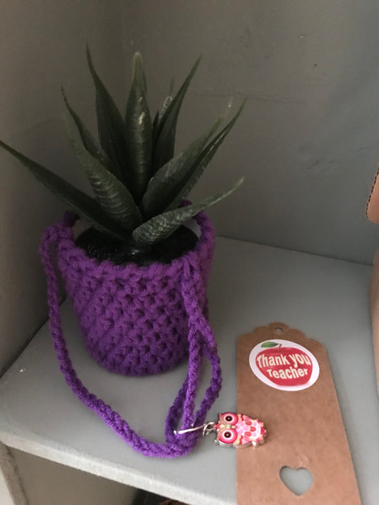 Hanging car plant (plastic)and crocheted hanger - teacher gift